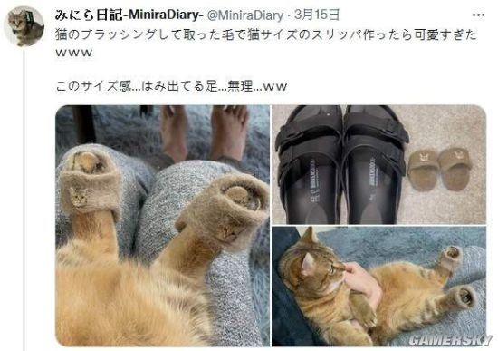 网友用猫毛给主子制作了一双迷你拖鞋 喵星人穿上超可爱