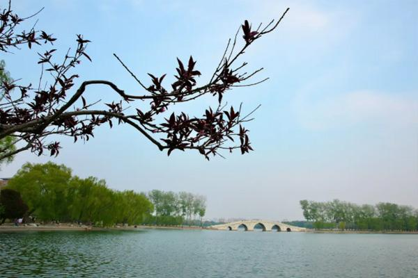 2022北京玉渊潭公园预约平台及操作指南