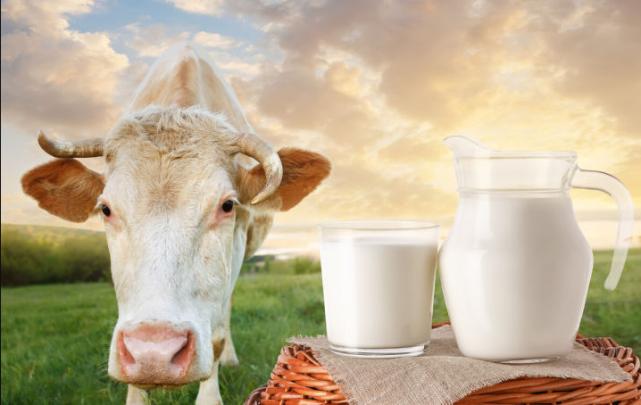 买牛奶时，这8个地方的“小众奶”别错过，质优价廉，本地人才懂(图2)